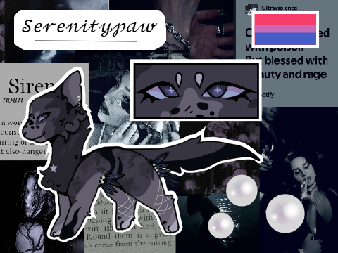 [ SERENITY'S STAGE ] - apprentice ref + bio