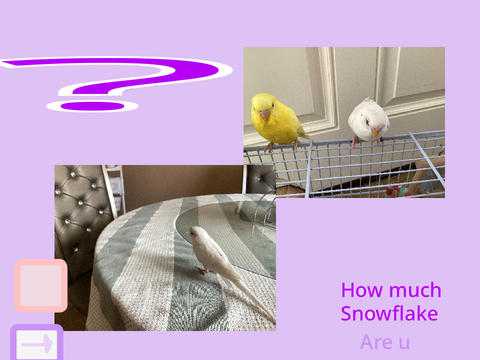 How much bird are u