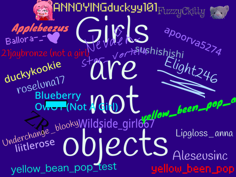 Girls aren't objects! remix 