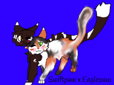 Swiftbird x Eaglestripe Art!