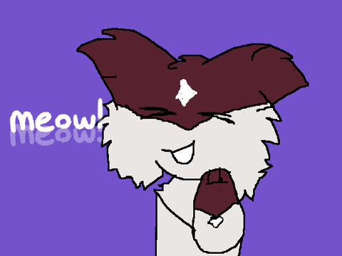 MEOW MEOW 