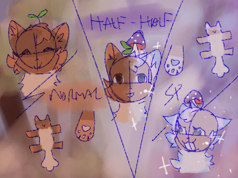 ☆*: .｡. Forest new ref (redesign)  .｡.:*☆