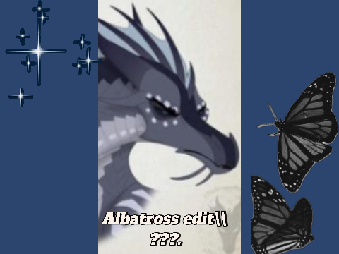 Albatross edit\\???