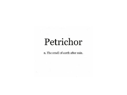 Word Of The Day #1
