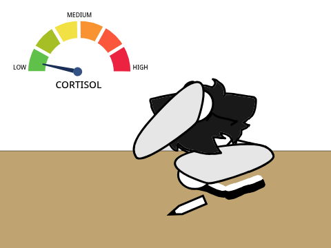Low cortisol but i end up drawing like-....