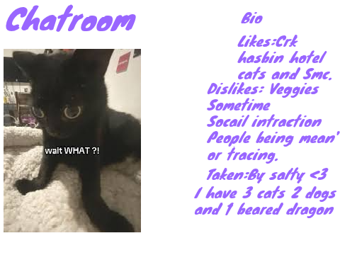 chatrooom