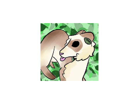 PFP contest entree