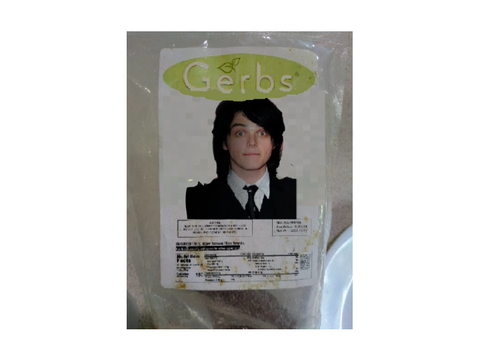 Gerard herbs