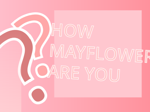 How Mayflower are you?