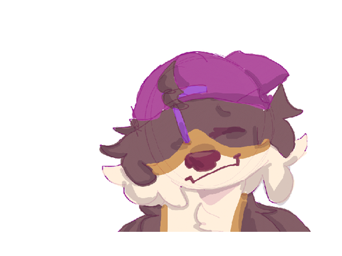 Milo color blocking