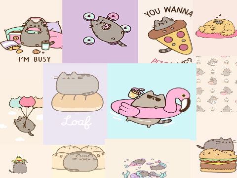 Pusheen aesthetic