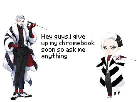 Q & A
