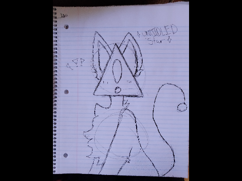 Untitledstar pen drawing!