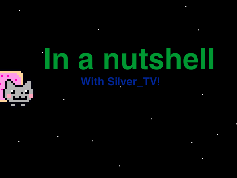 Nyan cat in a nutshell (Feat: Silver_TV)