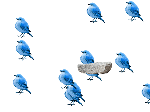 three birds with one stone