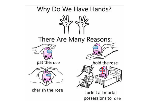 why do we have hands? Among Us OC: Rose