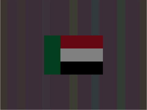 flag band: flags from our dreams