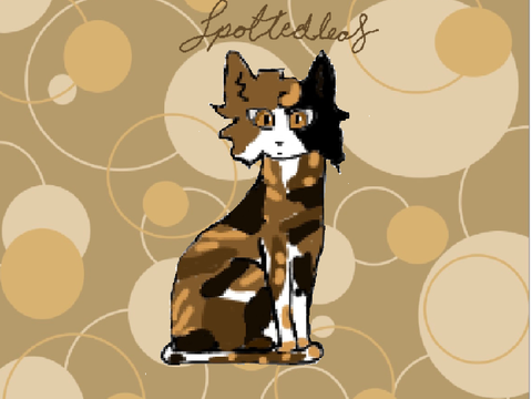 Spottedleaf drawing contest entry