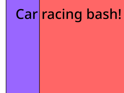Car racing bash!
