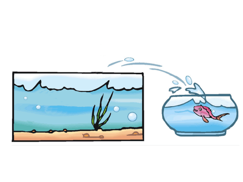 Jumping Fish GIF