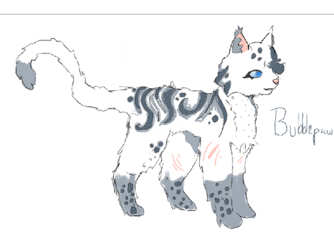 Day 3 of drawing my grade as warrior cats