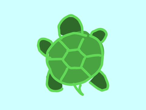 here's my turtle ygs