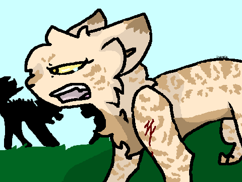 Bad Blood CCE