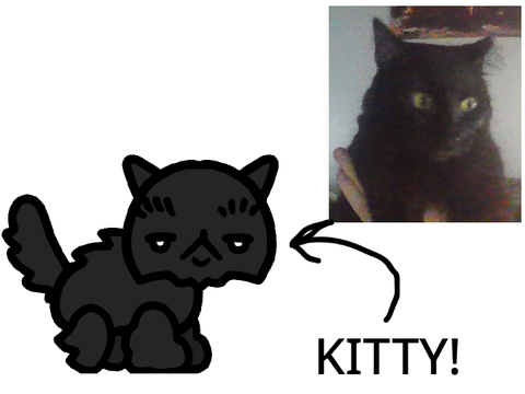 I MADE MY IRL CAT INTO A MEWGENICS KAT