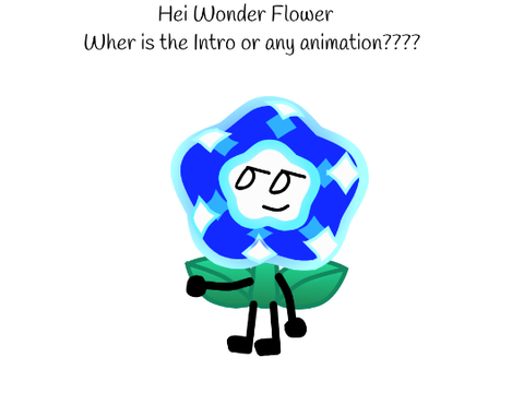 Pov Wonder flower in SOCK episodes