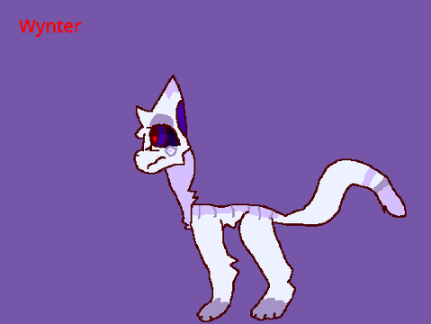 So This is Basically Not a Sorta Teaser