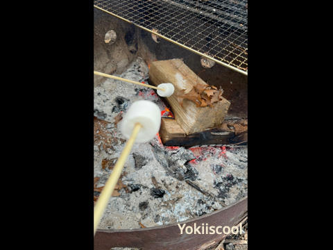 this is me camping (me rosting mashmellow)