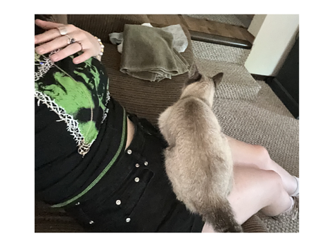 LOOK! My kitty cat
