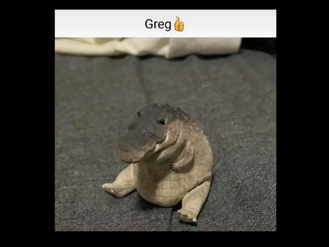 REMIX GREG!!!! remix
