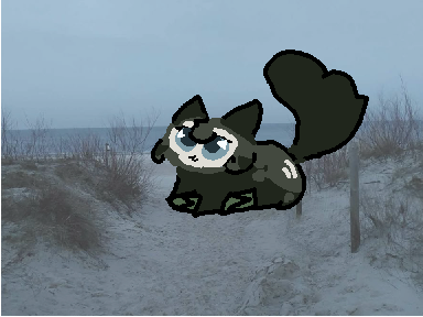 BEAN
