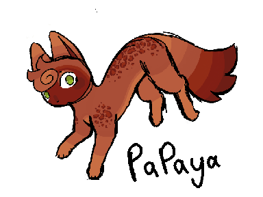 Papaya's notebook!