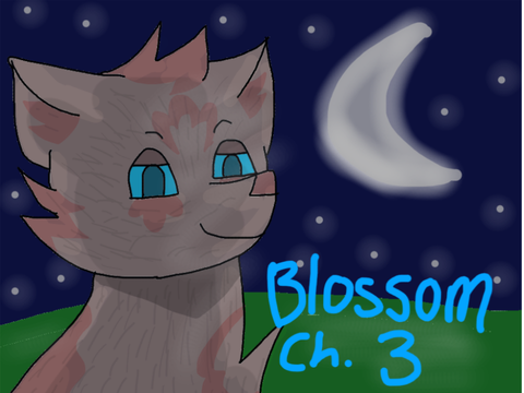 Blossom Ch. 3 TN contest remix