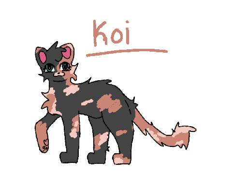 ➳❥ the koi pond - bio ➳❥