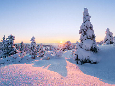 If there were no winter/Кабы не было зимы