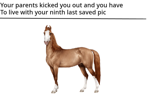 Your parents kicked you out and you have to live with your ninth last saved pic remix remix r… remix
