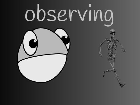 observing