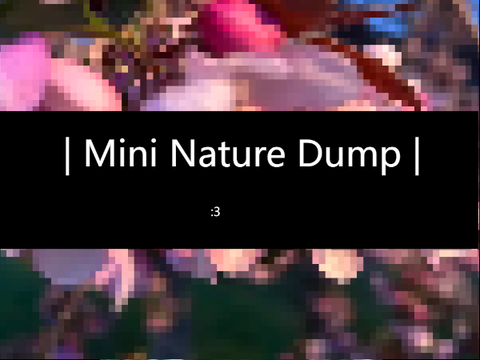 | Mini Nature Dump |