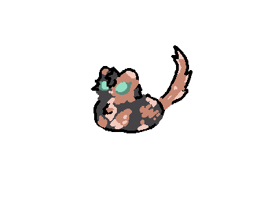 BEAN