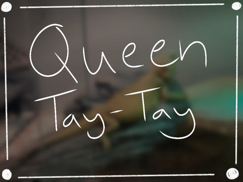 Bow down to your new queen, peasants!