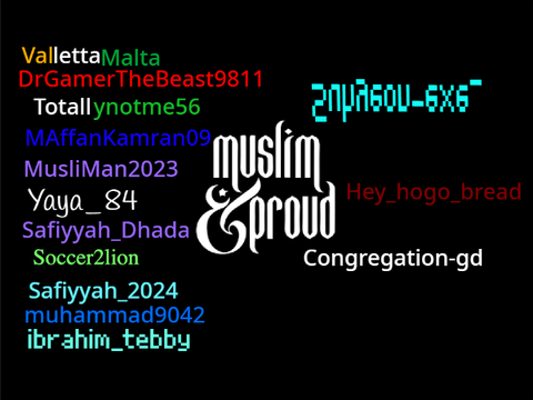 Sign if you are Muslim and PROUD!!! AAYYAYAYA!!!