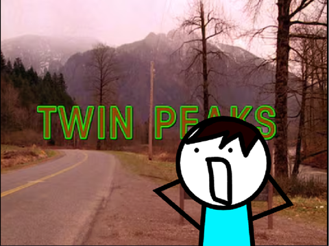 twin this is so peak