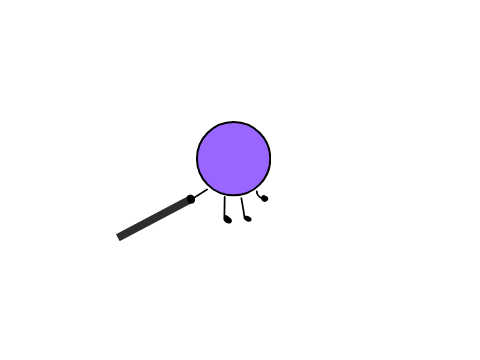 animation test