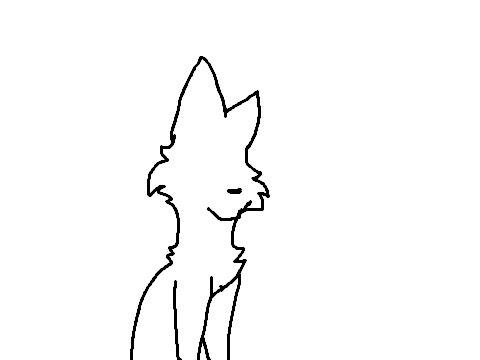 cat spin