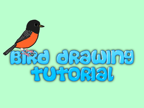 Bird Drawing Tutorial
