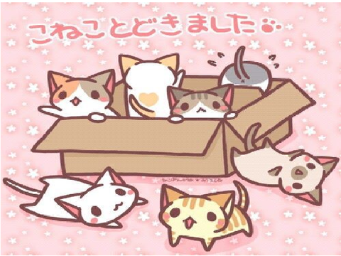 私たちが提供するもの (What We Will Offer)