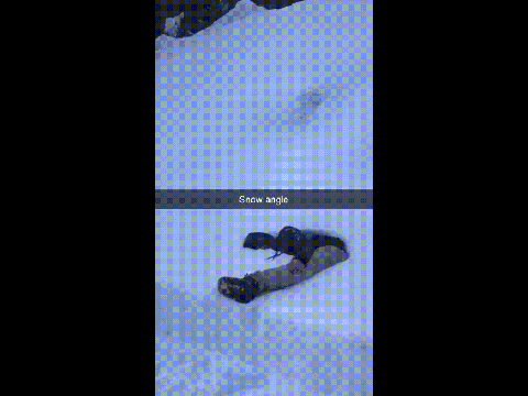 snow angle